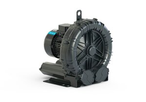 DBS 300