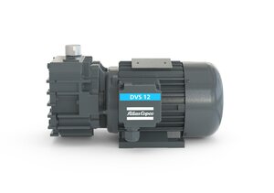 DVS 12